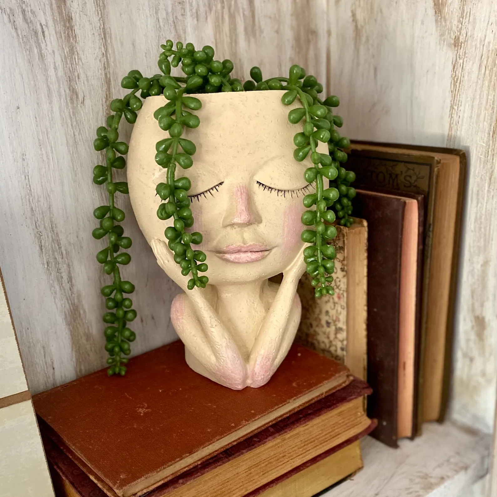 Vase succulent lady face head planter whimsical